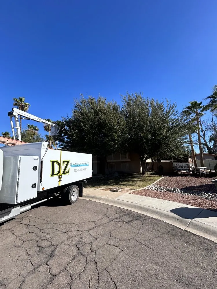 Reliable landscape design in Arizona City, AZ by DZ Landscaping