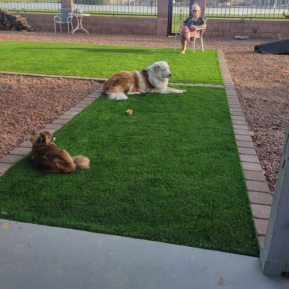 Local residential landscaping experts serving Arizona City, AZ - DZ Landscaping