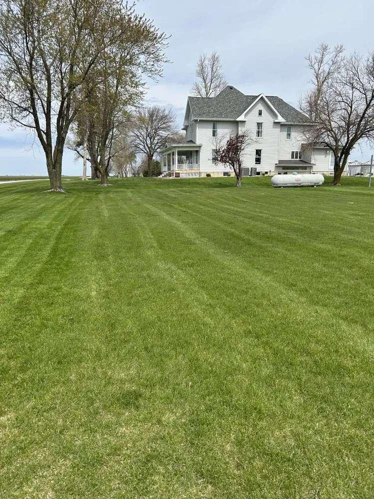 Top-rated outdoor landscaping in Homer, IL - Dz Lawn & Snow
