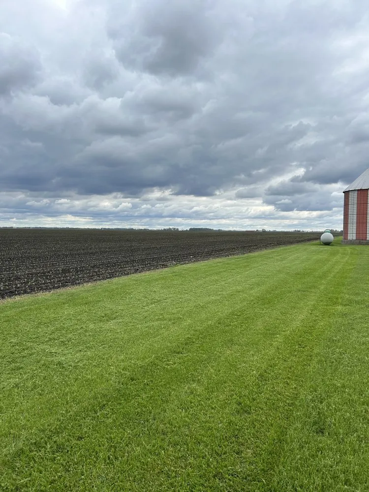 Affordable landscape design experts serving Homer, IL - Dz Lawn & Snow