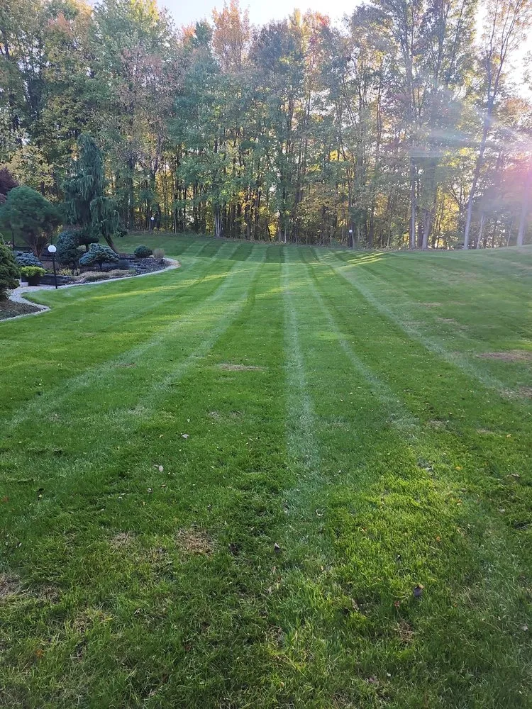 Reliable residential landscaping near you in Akron, OH by D&Z Lawn Services