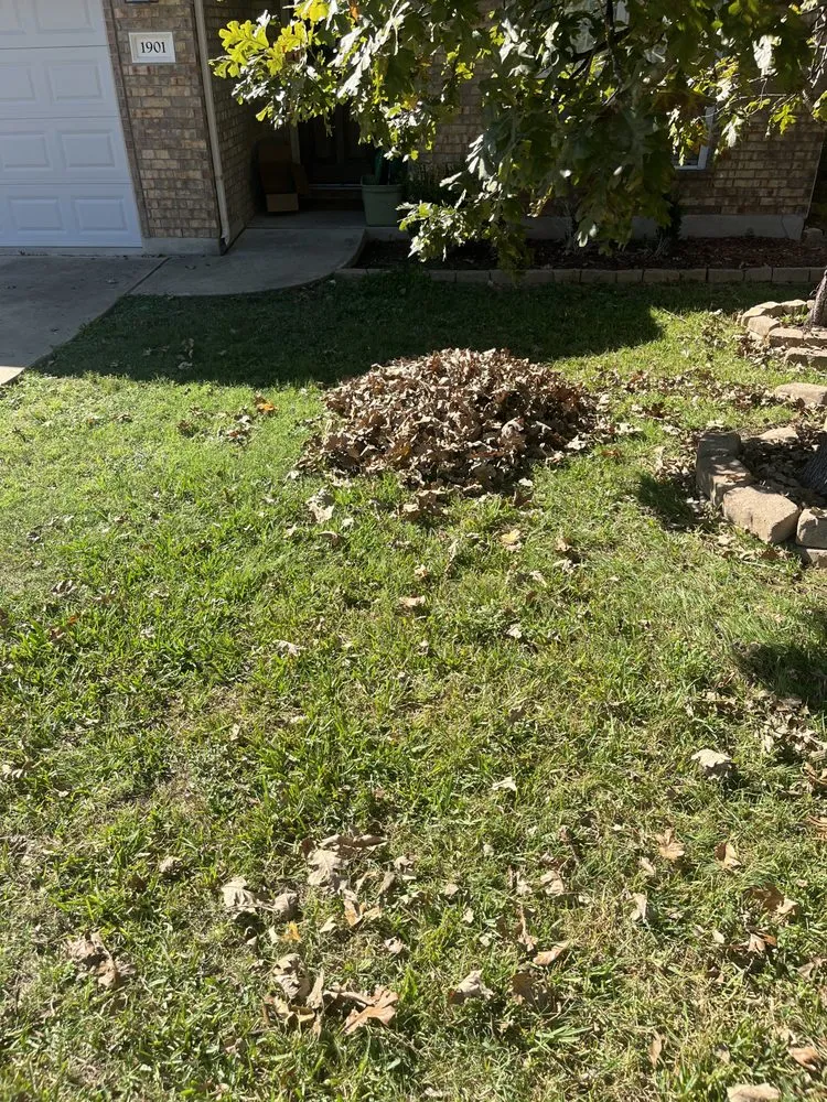 Reliable garden landscaping experts serving Austin, TX - DZ Lawn Services