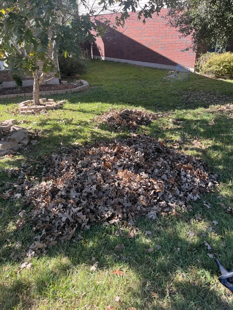 Trusted lawn care service in Austin, TX - DZ Lawn Services