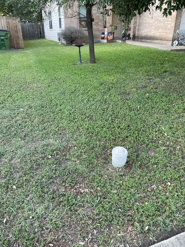 Top-rated landscape installation in Austin, TX - DZ Lawn Services