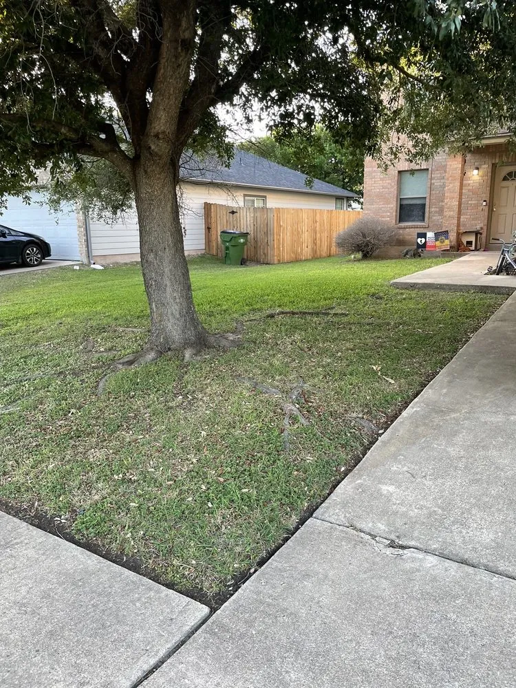 Reliable landscape installation near you across Austin, TX - DZ Lawn Services