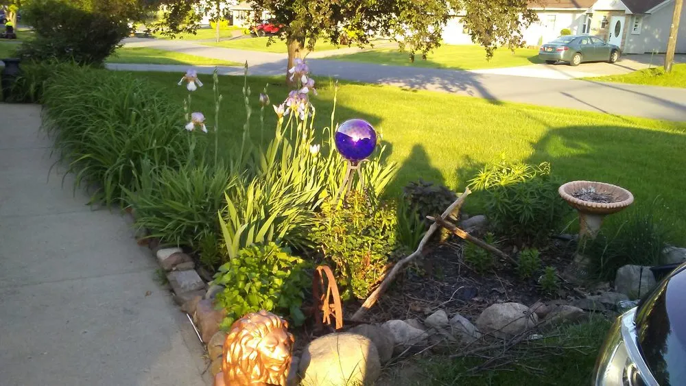 Local landscaping services experts serving Cold Brook, NY - D&Z Services