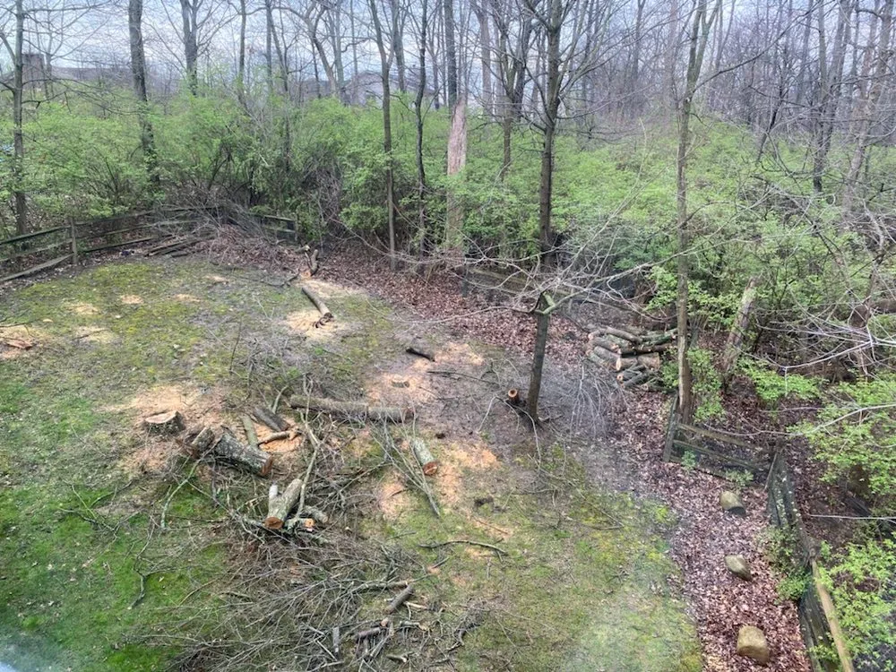 Reliable residential landscaping experts serving Miamisburg, OH - D&Z Shrub & Forestry