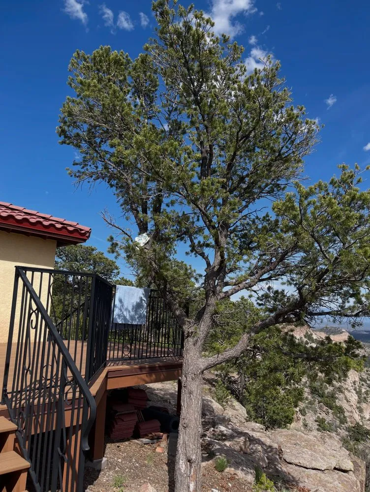 Expert landscaping services experts serving Los Alamos, NM - DZ Tree