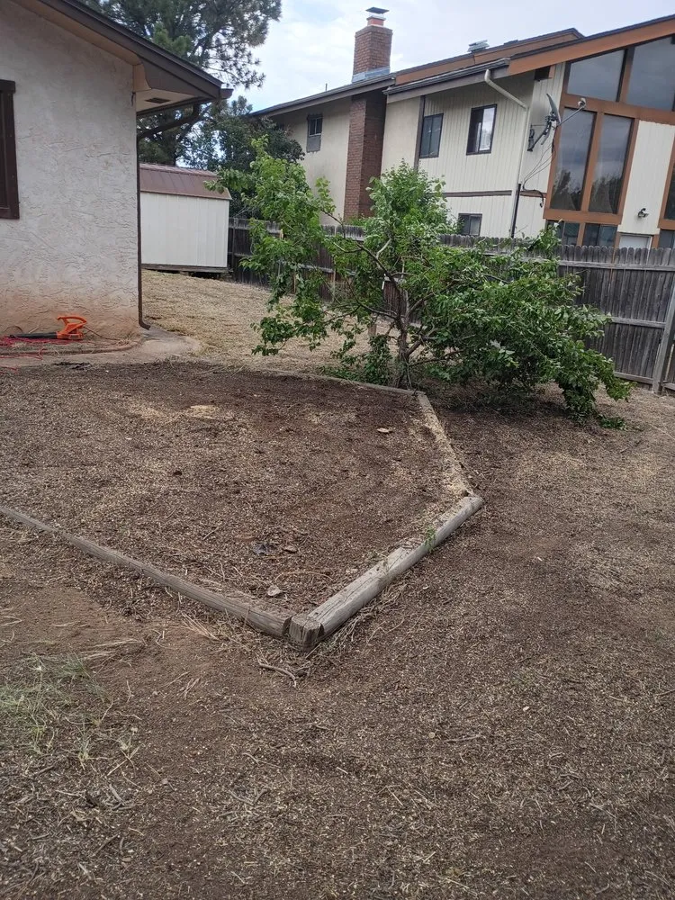 Expert landscape design in Los Alamos, NM - DZ Tree