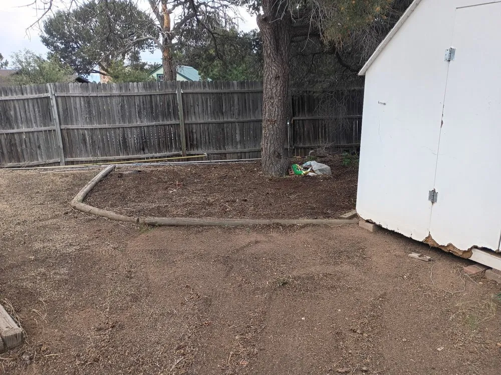 Local lawn care service for homes across Los Alamos, NM - DZ Tree