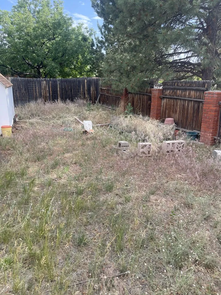 Local yard maintenance for year-round maintenance across Los Alamos, NM - DZ Tree