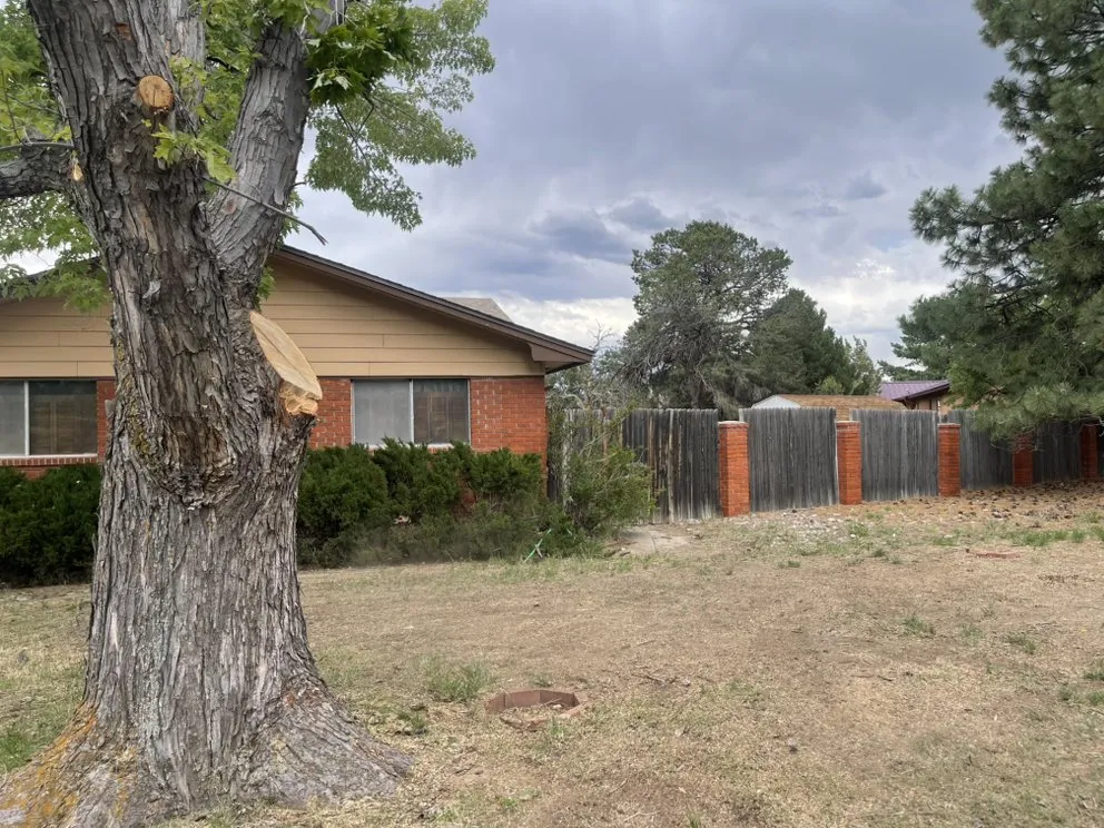 Professional residential landscaping in Los Alamos, NM by DZ Tree