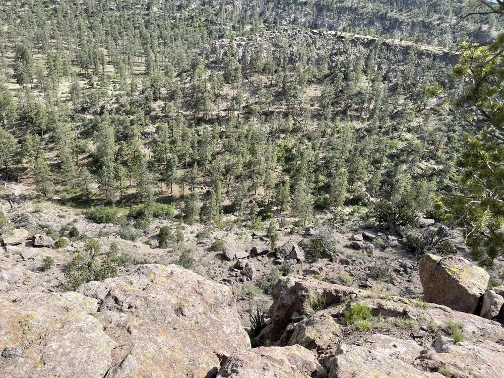 Custom landscaping services in Los Alamos, NM by DZ Tree