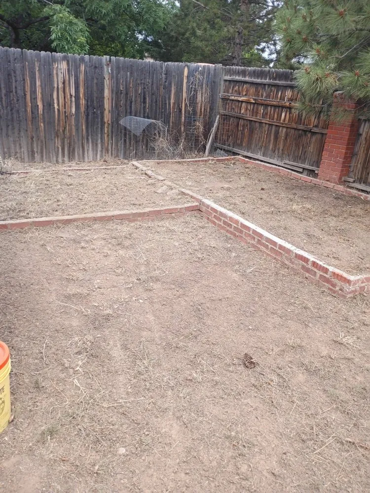 Affordable lawn care service experts serving Los Alamos, NM - DZ Tree