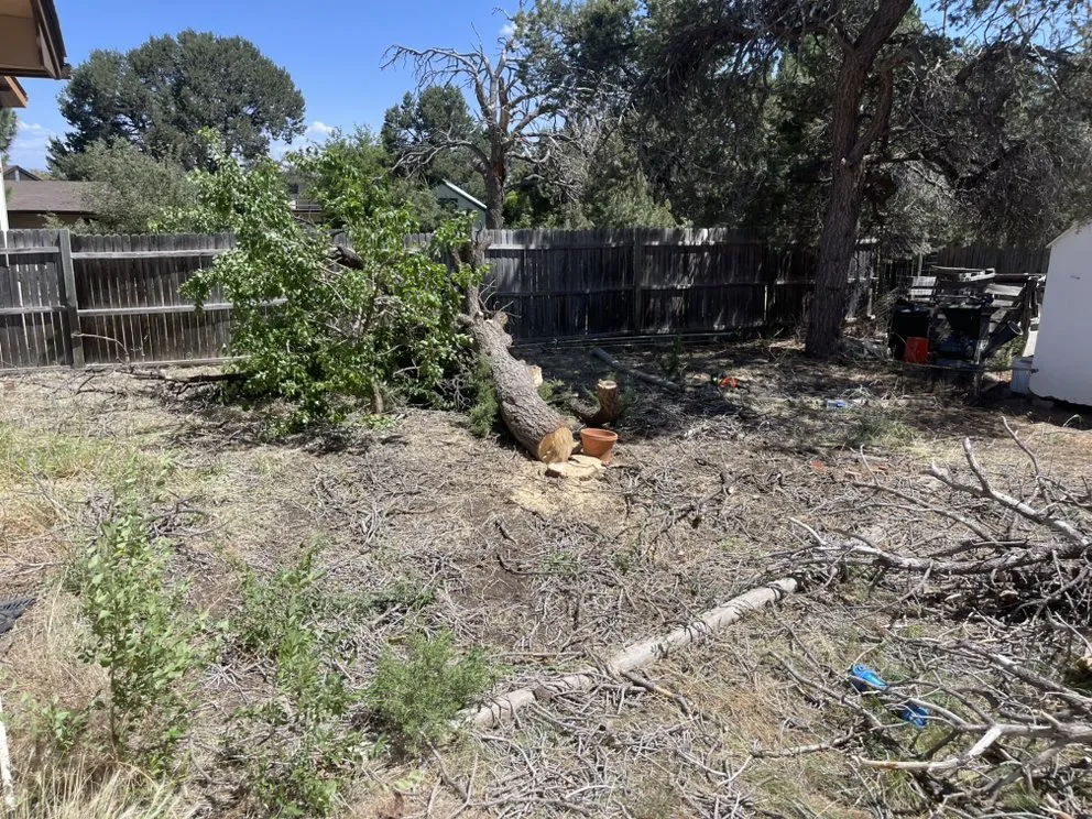 Expert lawn mowing service in Los Alamos, NM by DZ Tree