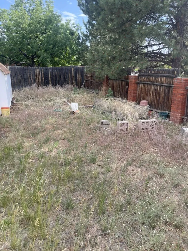 Local landscape design for outdoor upgrades across Los Alamos, NM - DZ Tree