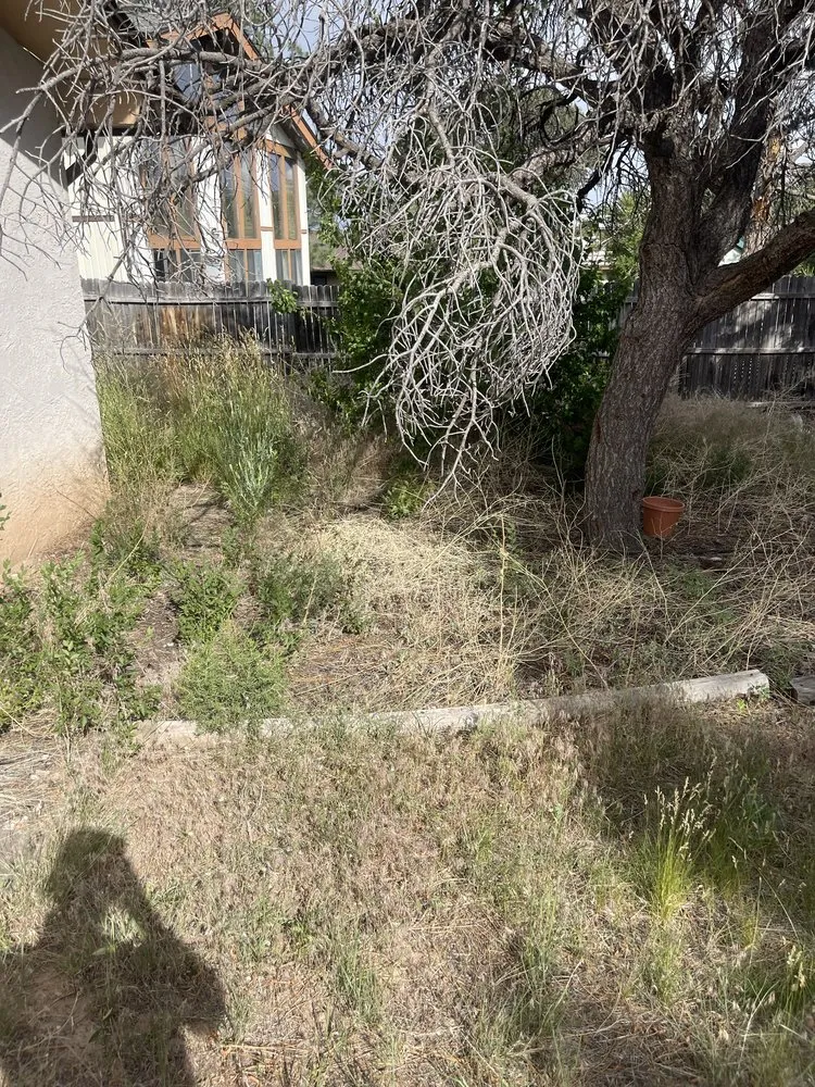 Local lawn mowing service experts serving Los Alamos, NM - DZ Tree