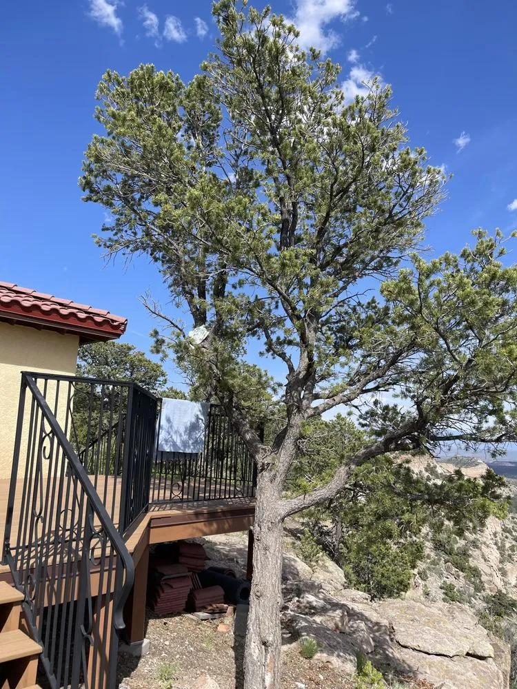 Trusted landscape installation in Los Alamos, NM by DZ Tree