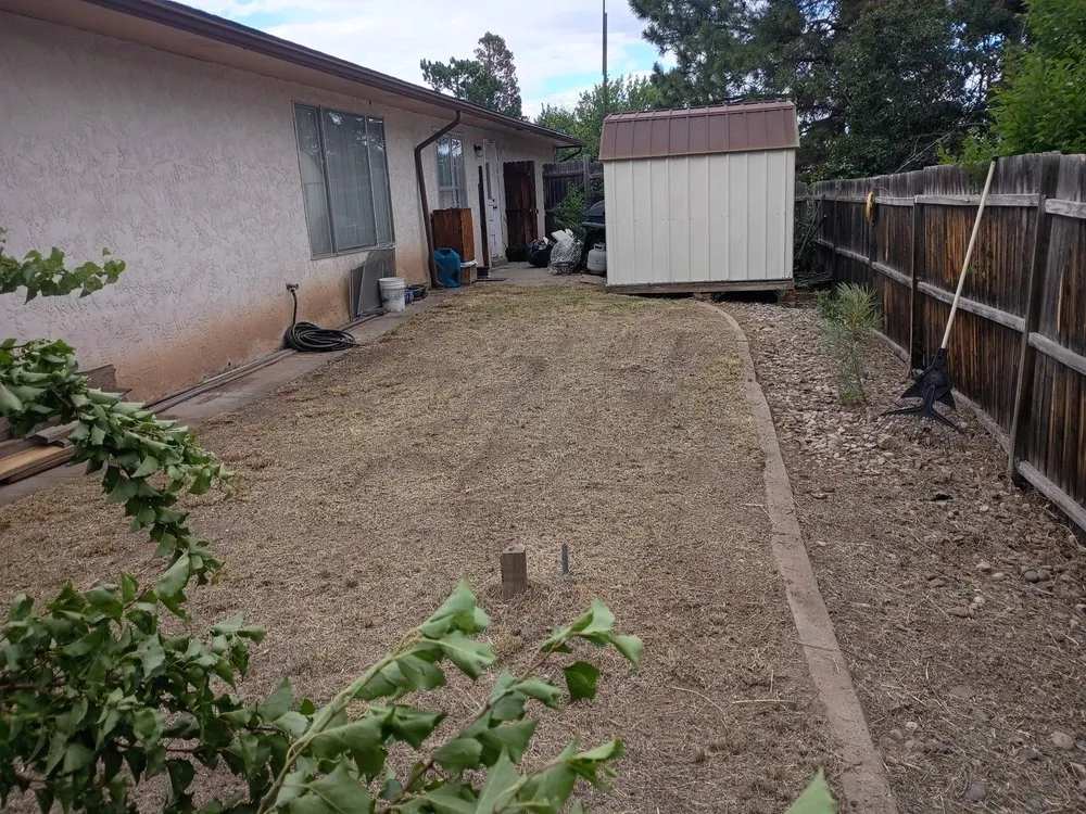 Custom lawn care service experts serving Los Alamos, NM - DZ Tree