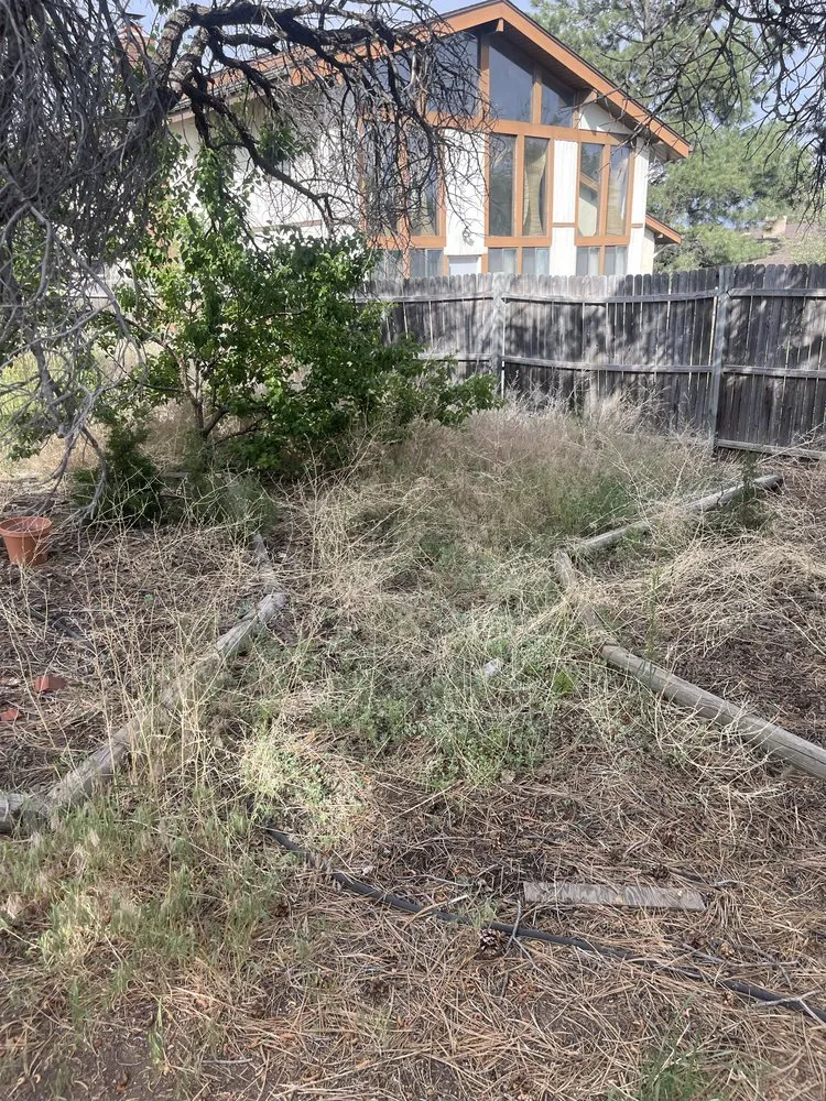 Local residential landscaping for year-round maintenance in Los Alamos, NM by DZ Tree