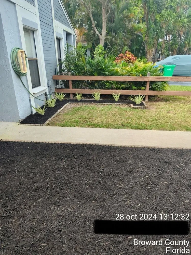 Custom yard cleanup service in Weston, FL - D'ZiV