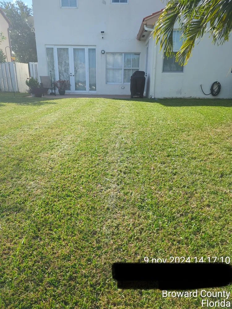 Top-rated lawn care service with custom design in Weston, FL by D'ZiV