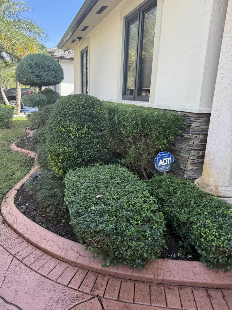Professional landscape design in Weston, FL by D'ZiV