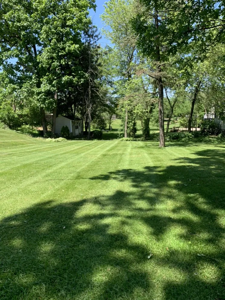 Top-rated lawn care service for outdoor upgrades across Streamwood, IL - E & A Landscaping