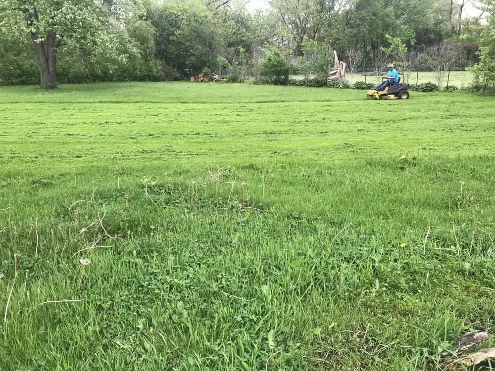 Affordable garden landscaping for year-round maintenance across Streamwood, IL - E & A Landscaping