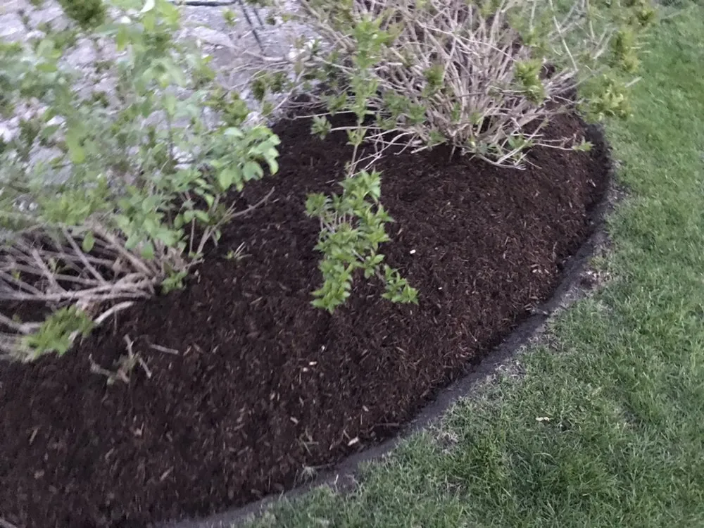 Local lawn mowing service in Streamwood, IL by E & A Landscaping