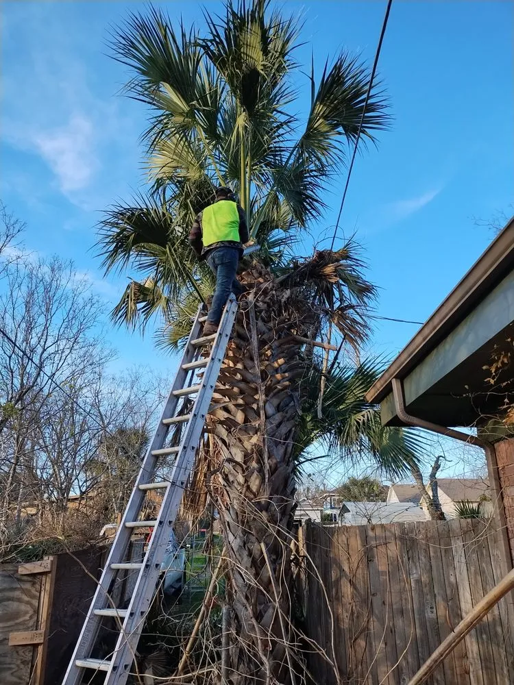 Trusted yard maintenance experts serving Austin, TX - E & B Landscaping And Tree Service