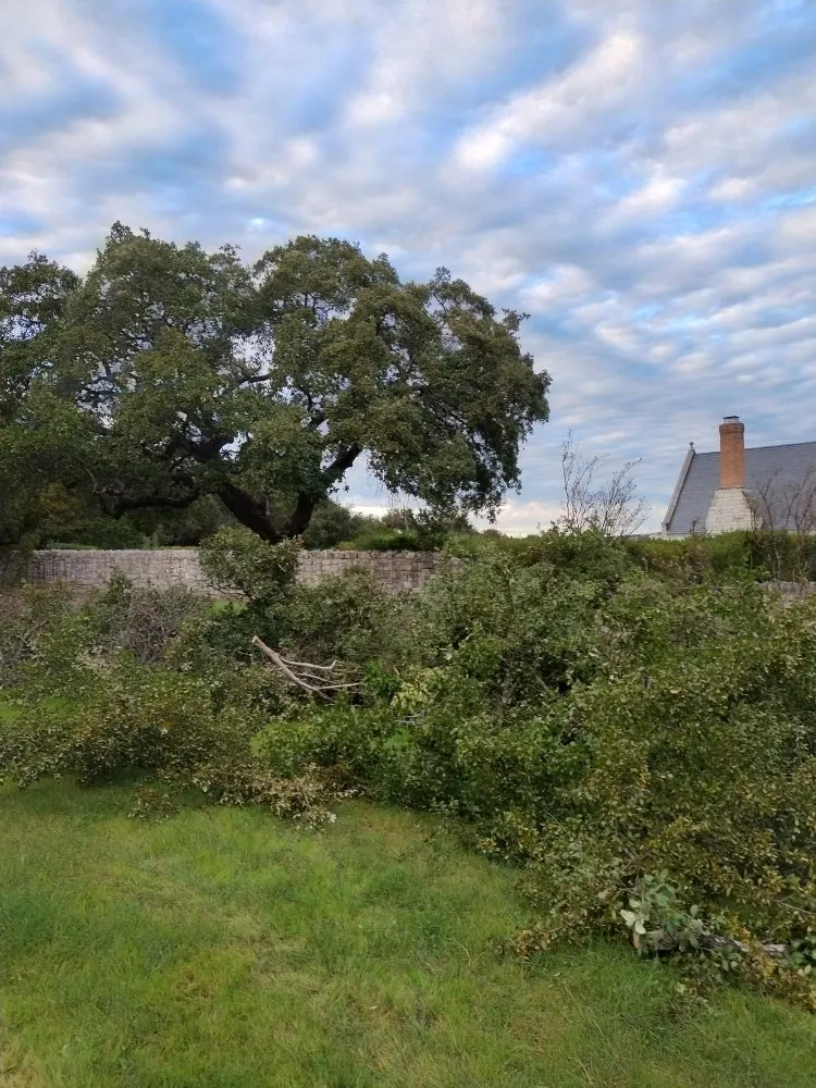 Professional garden landscaping in Austin, TX by E & B Landscaping And Tree Service