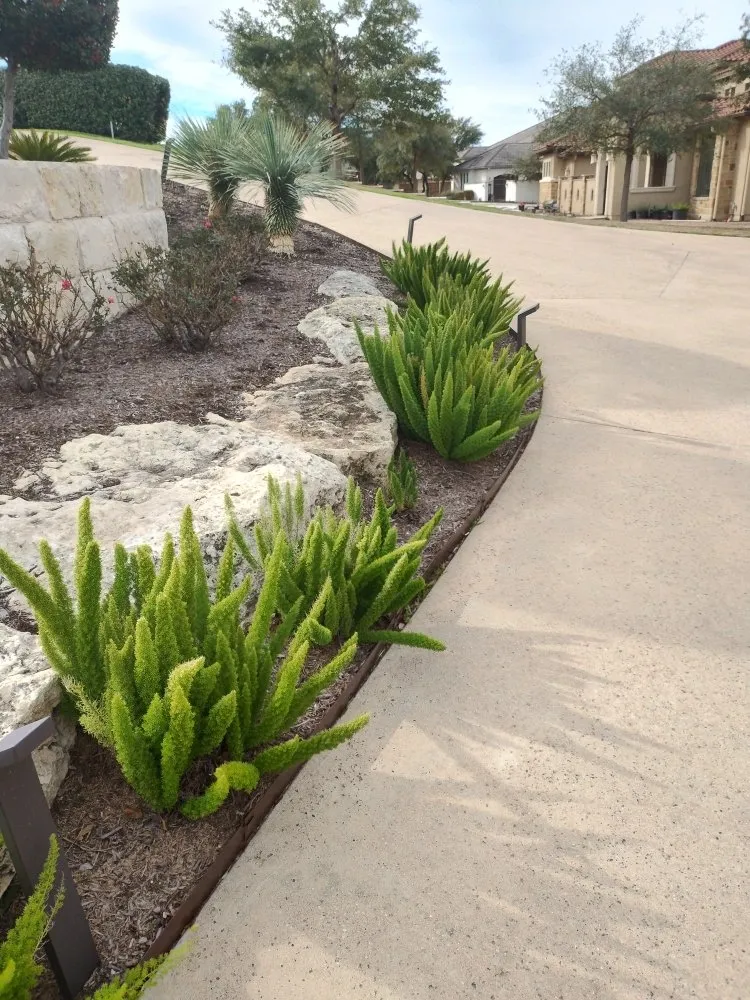 Trusted landscape design in Austin, TX - E & B Landscaping And Tree Service