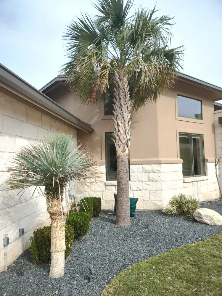 Trusted landscape design in Austin, TX - E & B Landscaping And Tree Service