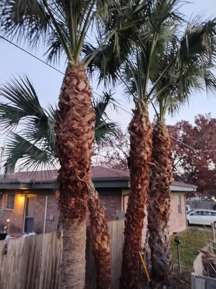 Reliable outdoor landscaping experts serving Austin, TX - E & B Landscaping And Tree Service