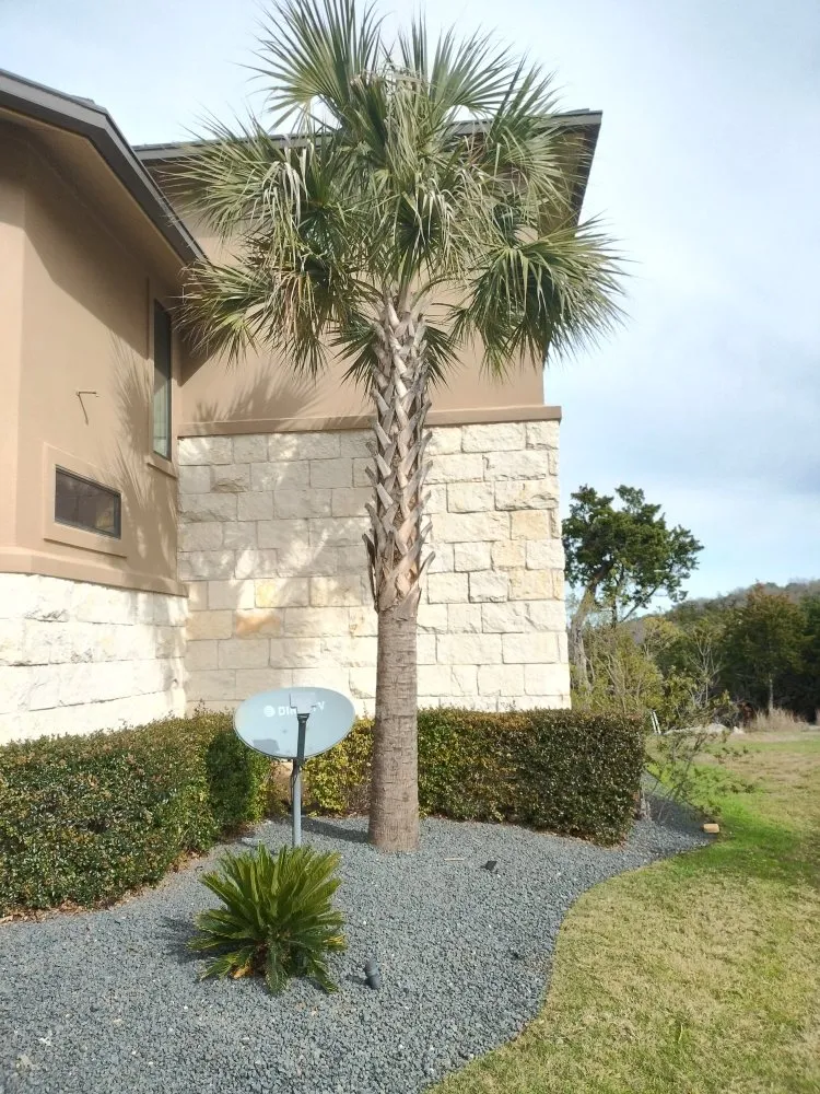 Local yard maintenance in Austin, TX - E & B Landscaping And Tree Service