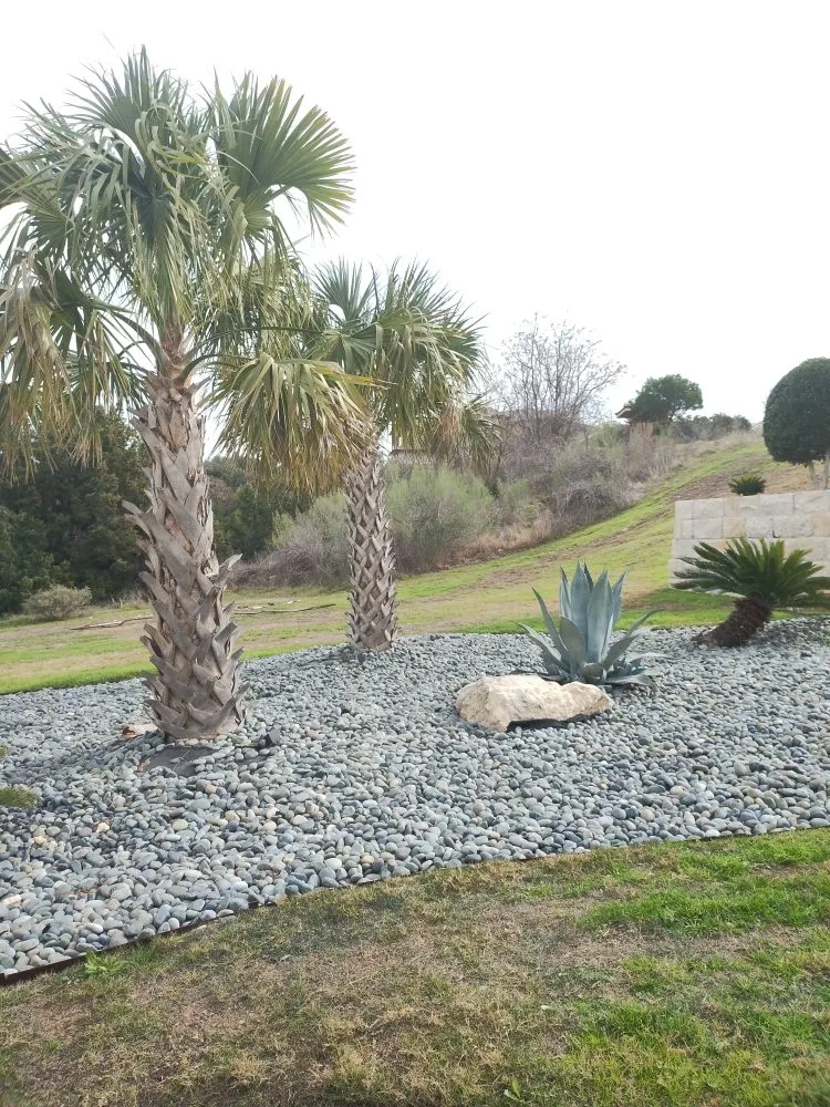 Top-rated landscape design for homes across Austin, TX - E & B Landscaping And Tree Service