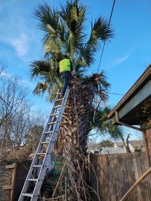 E & B Landscaping And Tree Service Logo