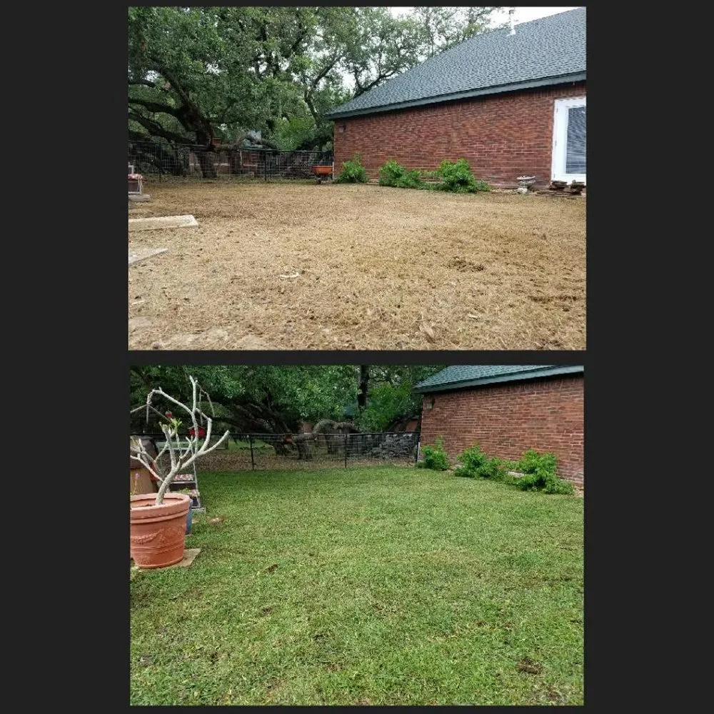 Custom garden landscaping in San Antonio, TX by E & B Tree service and Landscaping