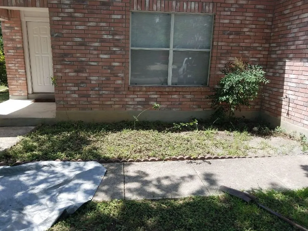 Professional landscape design experts serving San Antonio, TX - E & B Tree service and Landscaping