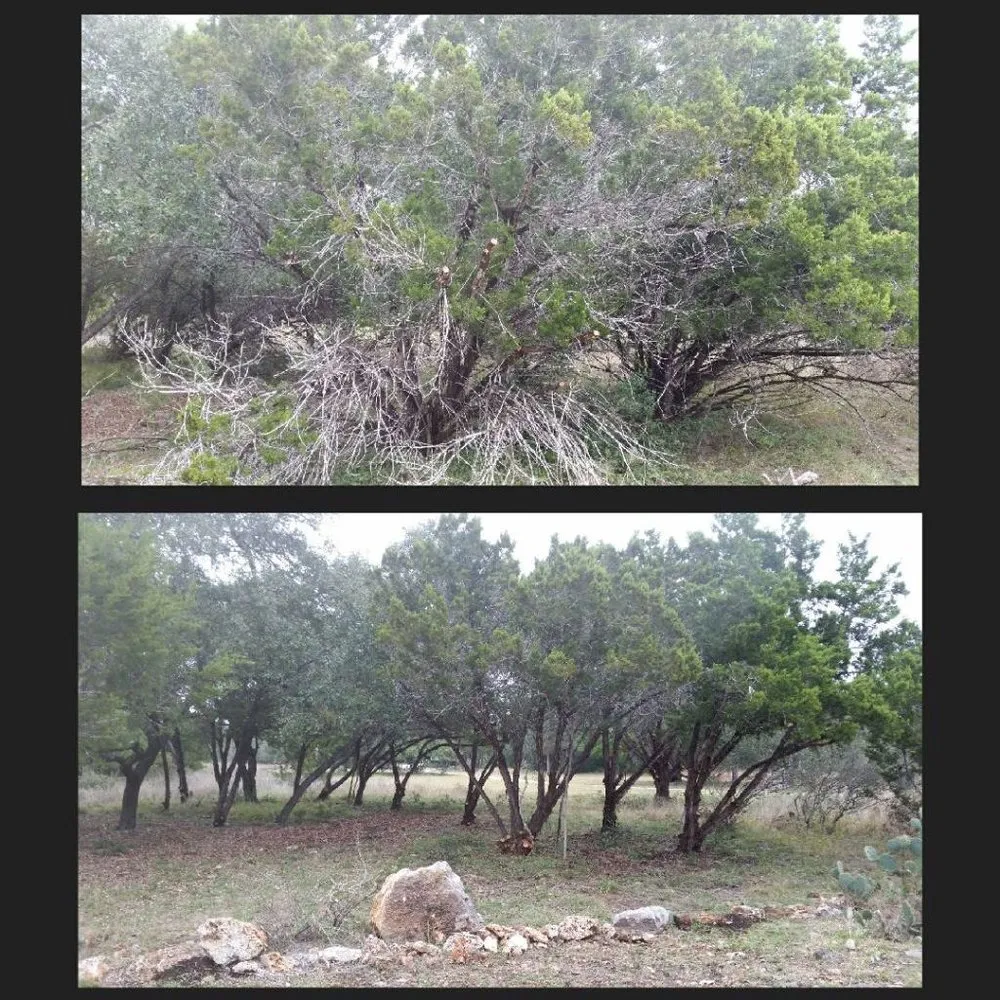 Professional landscape design for outdoor upgrades across San Antonio, TX - E & B Tree service and Landscaping