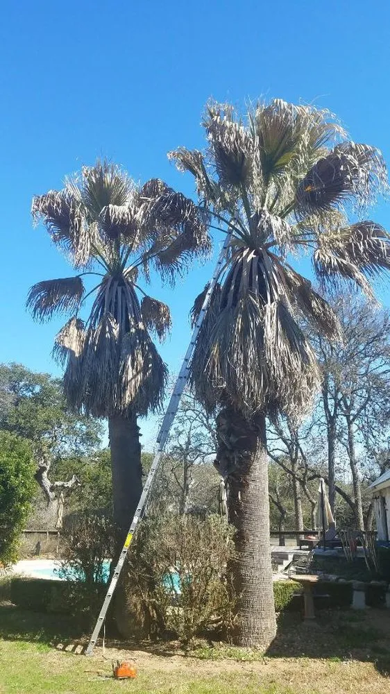 Affordable landscaping services for beautiful yards across San Antonio, TX - E & B Tree service and Landscaping