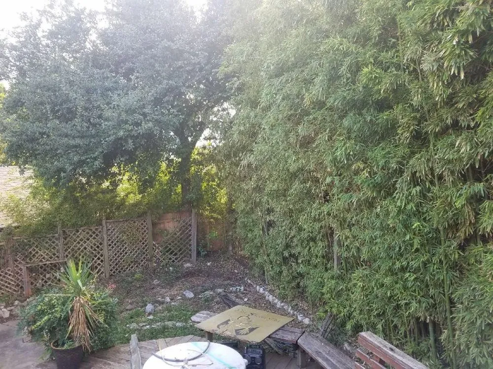 Custom landscape design for homes across San Antonio, TX - E & B Tree service and Landscaping