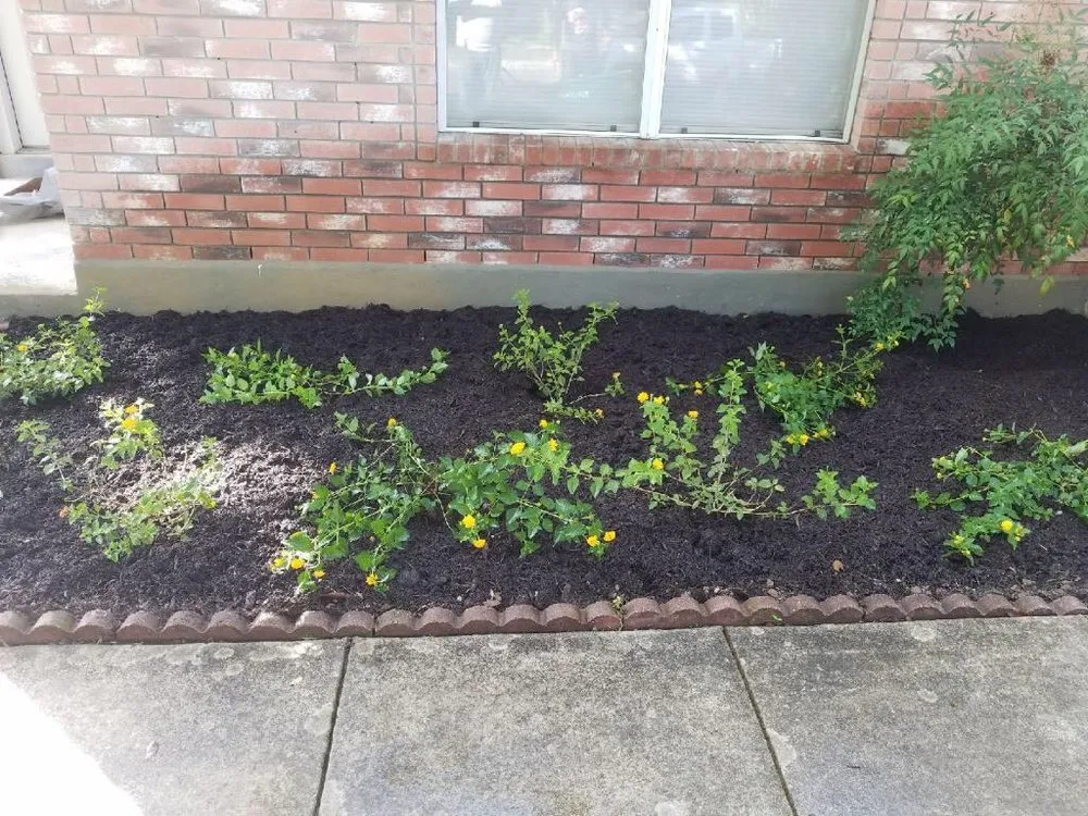 Top-rated outdoor landscaping for outdoor upgrades in San Antonio, TX by E & B Tree service and Landscaping