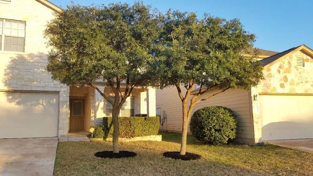 Expert yard maintenance for homes across San Antonio, TX - E & B Tree service and Landscaping