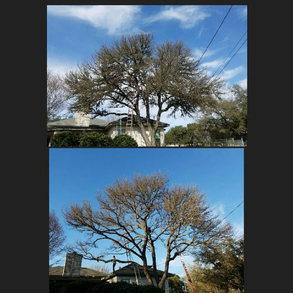 Affordable landscape design for residential properties in San Antonio, TX by E & B Tree service and Landscaping