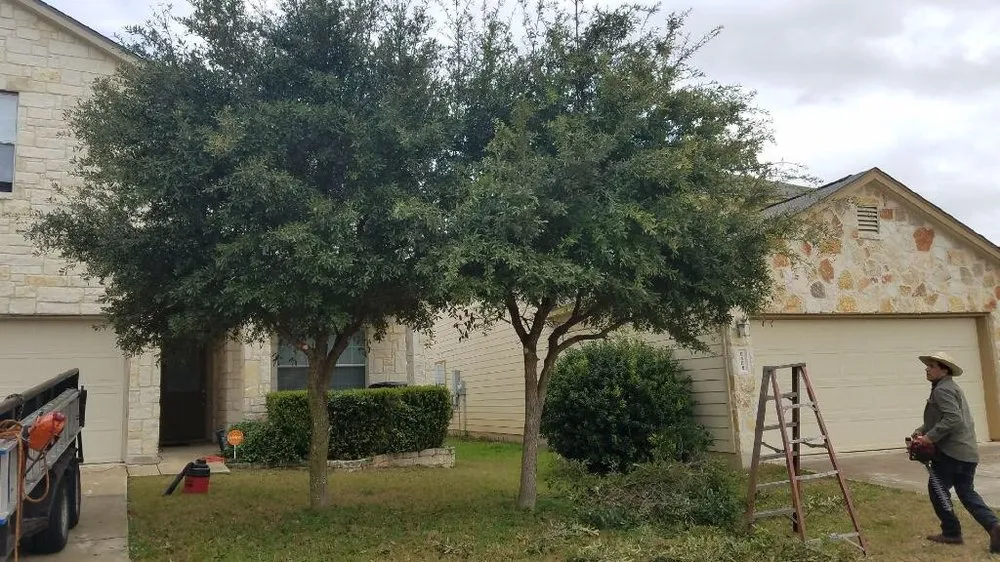 Local residential landscaping experts serving San Antonio, TX - E & B Tree service and Landscaping