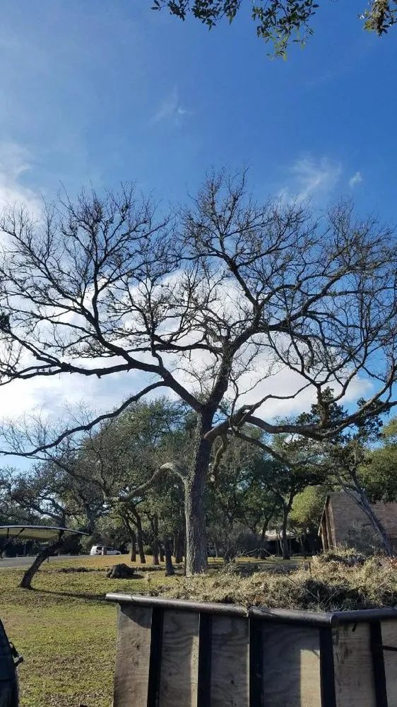 Professional landscape installation experts serving San Antonio, TX - E & B Tree service and Landscaping