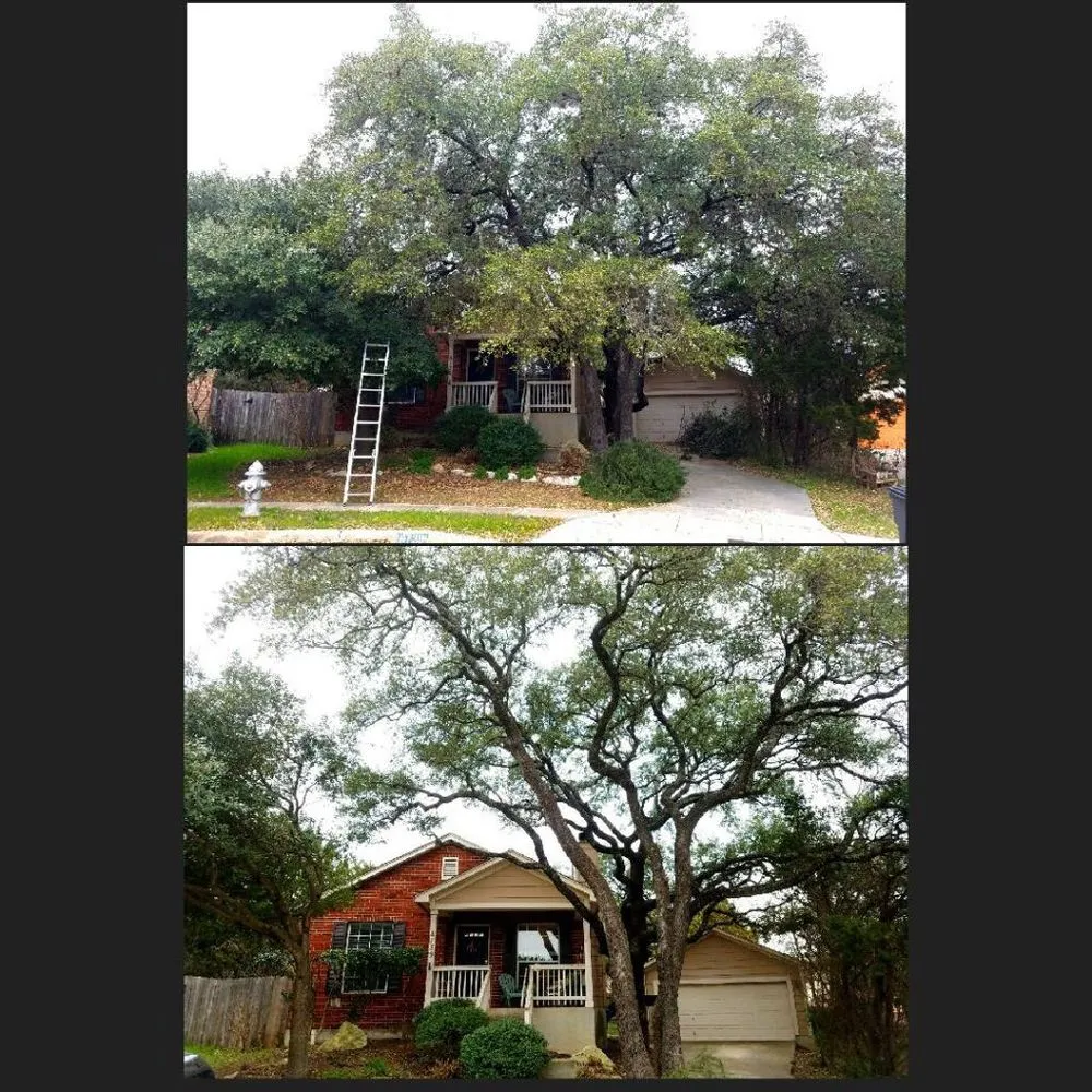 Custom lawn care service in San Antonio, TX by E & B Tree service and Landscaping