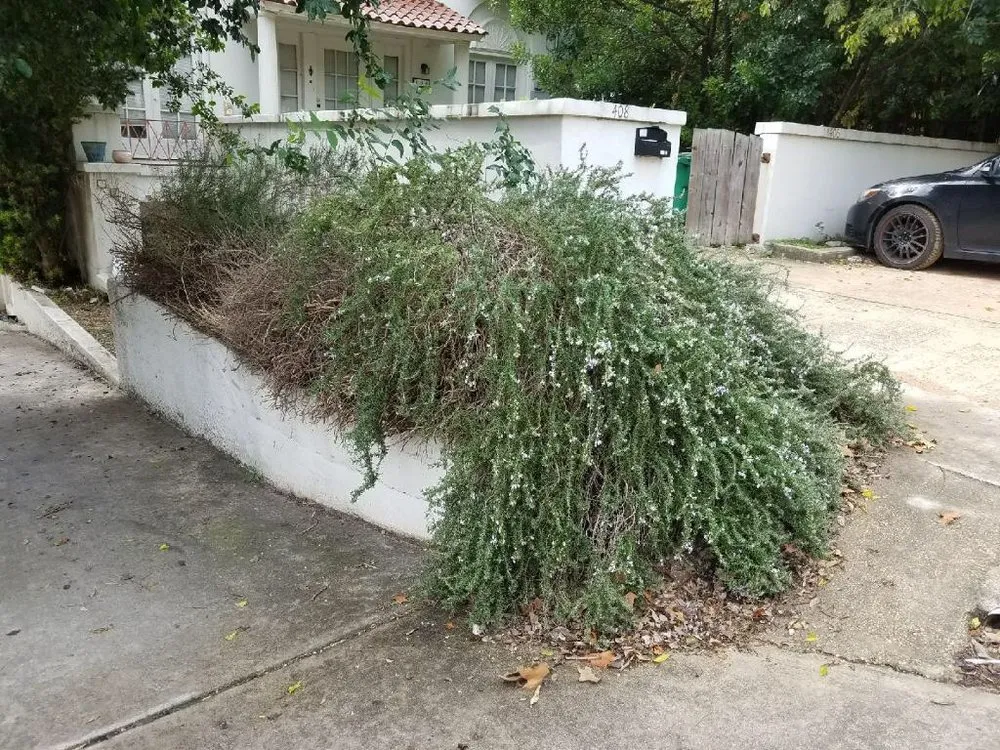 Affordable landscape installation for residential properties in San Antonio, TX by E & B Tree service and Landscaping